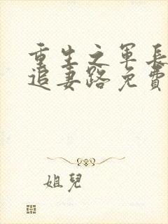 重生之军长漫漫追妻路免费阅读