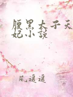 腹黑太子天降萌妃小说