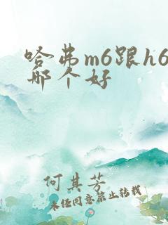 哈弗m6跟h6哪个好