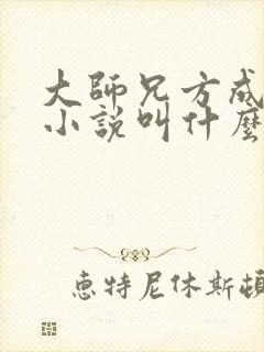 大师兄方成朗的小说叫什么