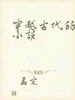 穿越古代的赘婿小说