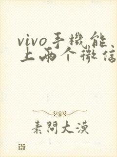 vivo手机能上两个微信吗