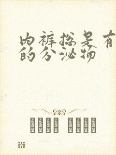 内裤总是有黄色的分泌物