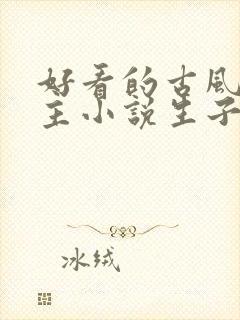 好看的古风双男主小说生子