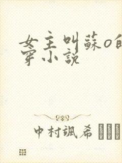 女主叫苏o的快穿小说