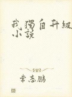 我独自升级原著小说