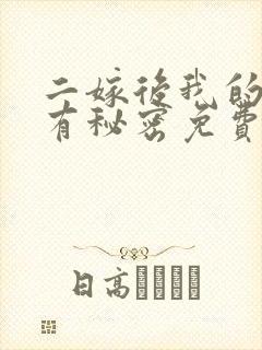 二嫁后我的夫君有秘密免费阅读