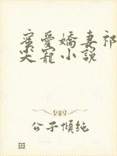 蜜爱娇妻祁少心尖宠小说