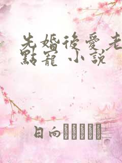 先婚后爱老公轻点宠 小说