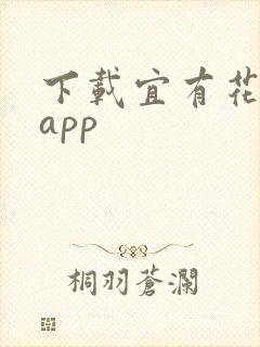 下载宜有花贷款app