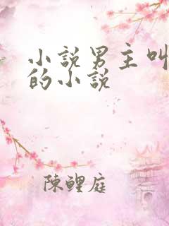 小说男主叫墨非的小说