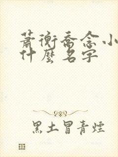 萧衡乔念小说叫什么名字