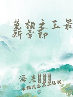 万相之王最新更新章节