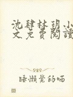 沈肆林玥小说全文免费阅读