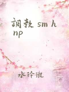调教 sm h np