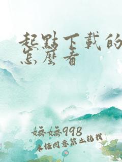 起点下载的小说怎么看