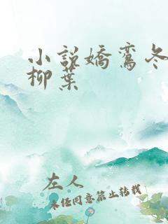 小说娇鸾冬天的柳叶