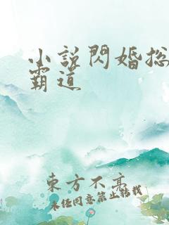 小说闪婚总裁太霸道