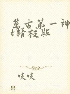 万古第一神txt精校版