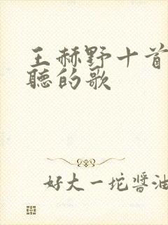 王赫野十首最好听的歌