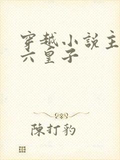 穿越小说主角是六皇子