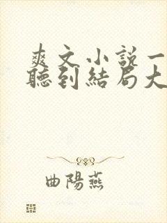 爽文小说一口气听到结局大女主