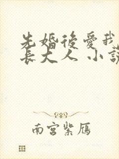 先婚后爱我的市长大人 小说