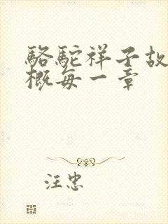 骆驼祥子故事梗概每一章