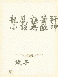 龙凤诀萧轩夏萍小说无敌神医