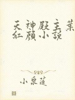 天神殿主叶凡宋红颜小说