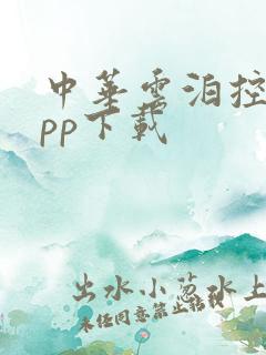 中华云泊控股app下载