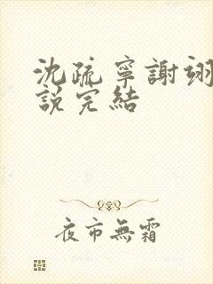 沈疏宁谢翊川小说完结