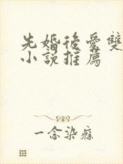 先婚后爱双男主小说推荐