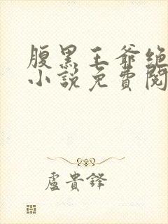 腹黑王爷绝世妃小说免费阅读