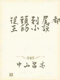 从头到尾都虐男主的小说