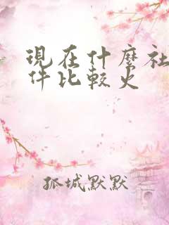 现在什么社交软件比较火