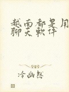 越南都是用什么聊天软件