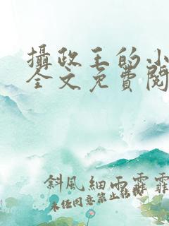 摄政王的小萌妃全文免费阅读