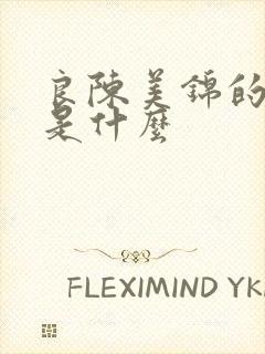 良陈美锦的结局是什么