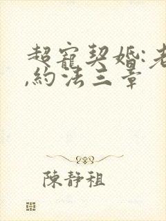 超宠契婚:老公,约法三章