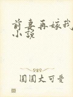 前妻再嫁我一次小说