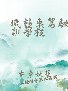 机动车驾驶员培训学校