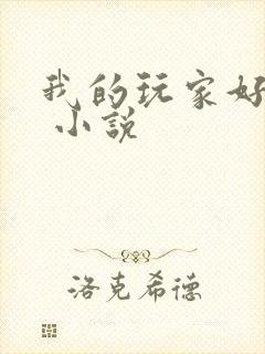 我的玩家好凶猛 小说