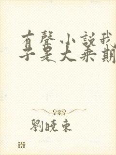 有声小说我的妻子是大乘期大佬