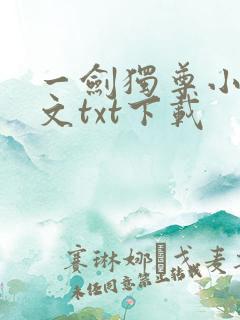 一剑独尊小说全文txt下载