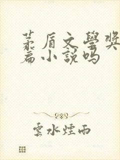 茅盾文学奖是长篇小说吗