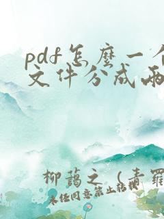 pdf怎么一个文件分成两个文件