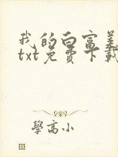 我的白富美老婆txt免费下载
