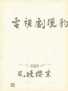 电视剧猎豹突击