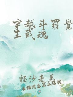 穿越斗罗觉醒十生武魂